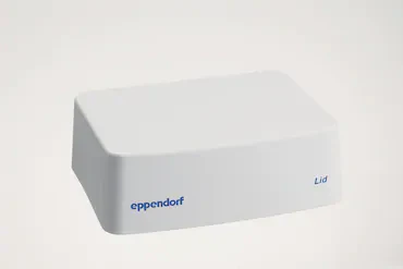 Lid