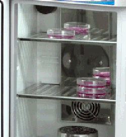 MyTemp Mini CO2 Additional Shelves